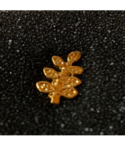  Insignă Acacia Gold var.1