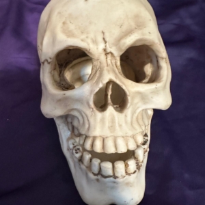 Craniu cu suport de lumanare